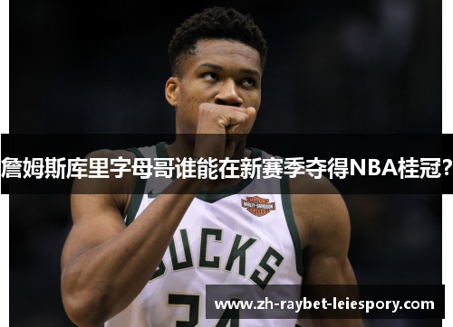 詹姆斯库里字母哥谁能在新赛季夺得NBA桂冠？